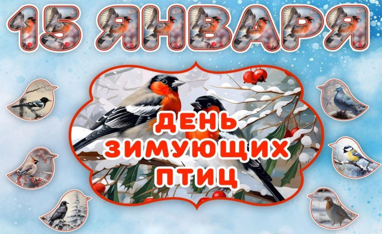 День зимующих птиц.